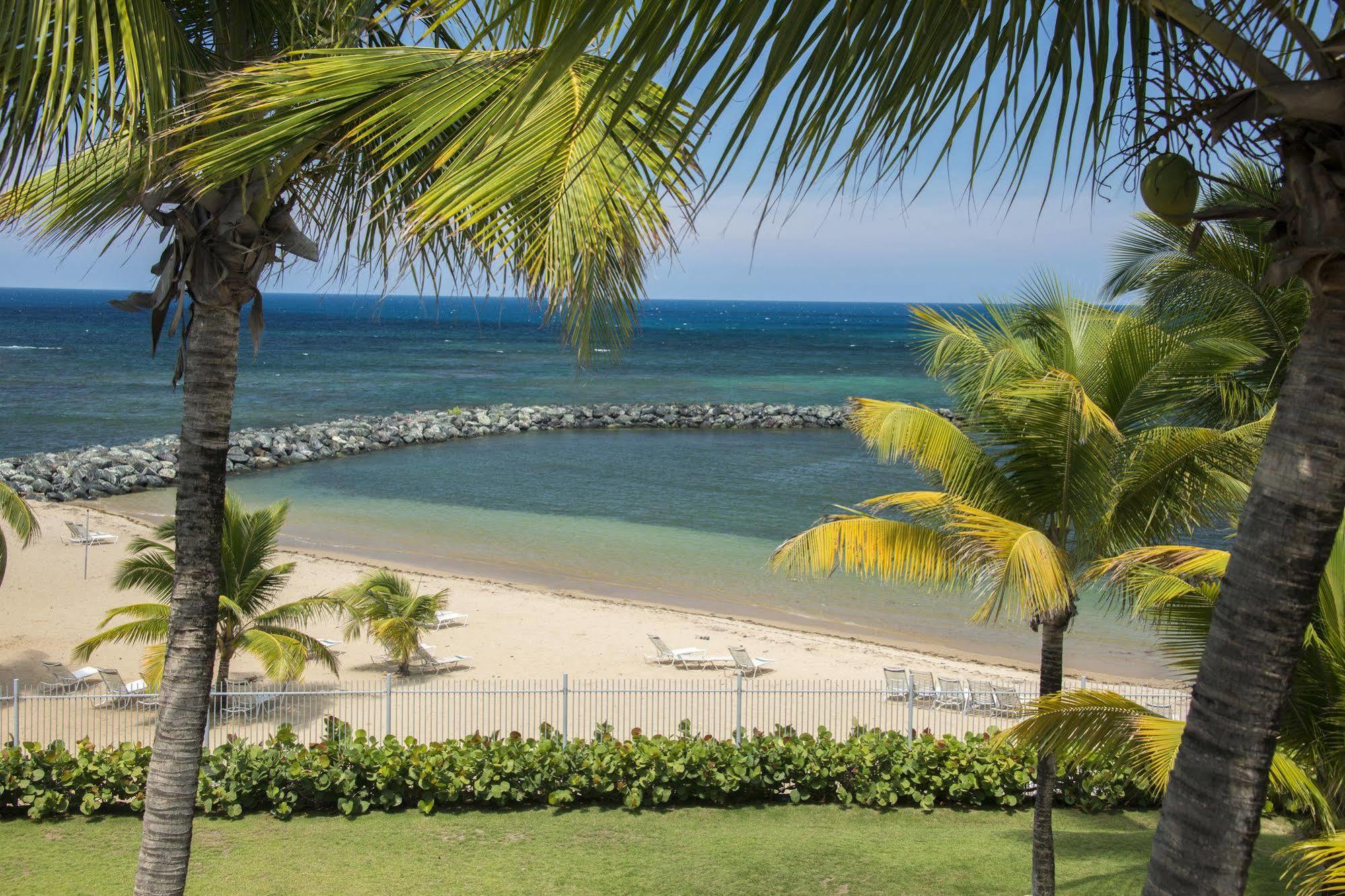 Aquarius Vacation Club At Dorado Del Mar Exterior foto