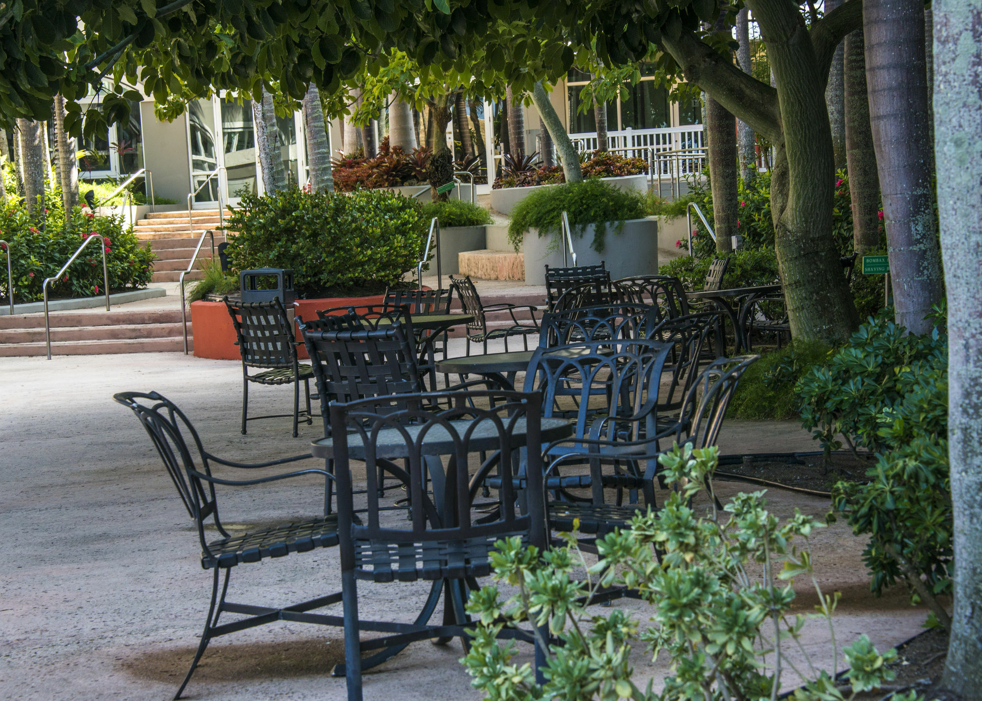 Aquarius Vacation Club At Dorado Del Mar Exterior foto